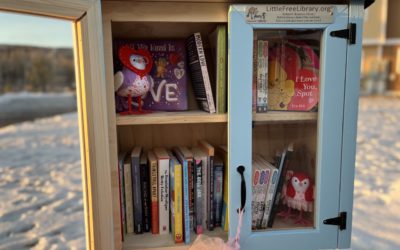 [미국]   작은 무료 도서관 Little Free Library